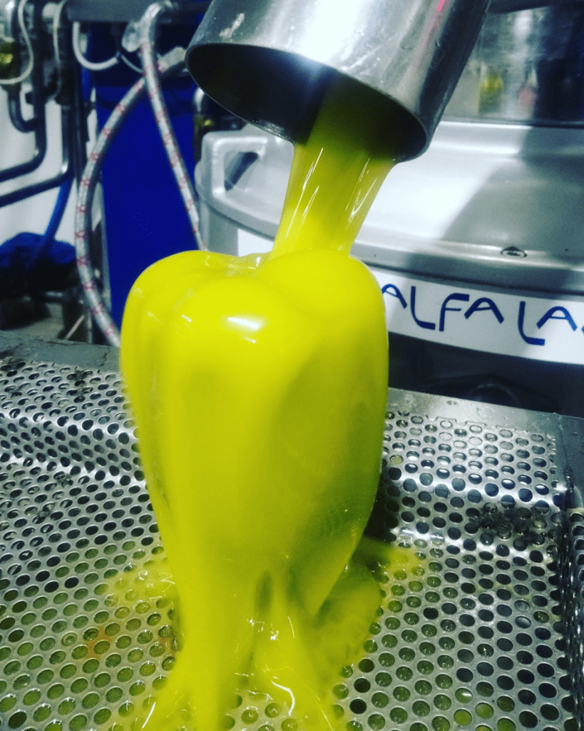 Kefalonia Olive Mill Greece, First press olive oil - Oleificio Cefalonica - Kefalonia Olive mill. Luxury Villa holidays Kefalonia available.